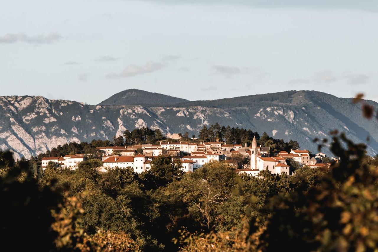 Vila Ana Stanjel Bagian luar foto
